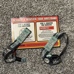 Innings festival 2026