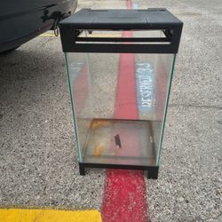 Medium Size Aquarium//Pick Up In Pasadena