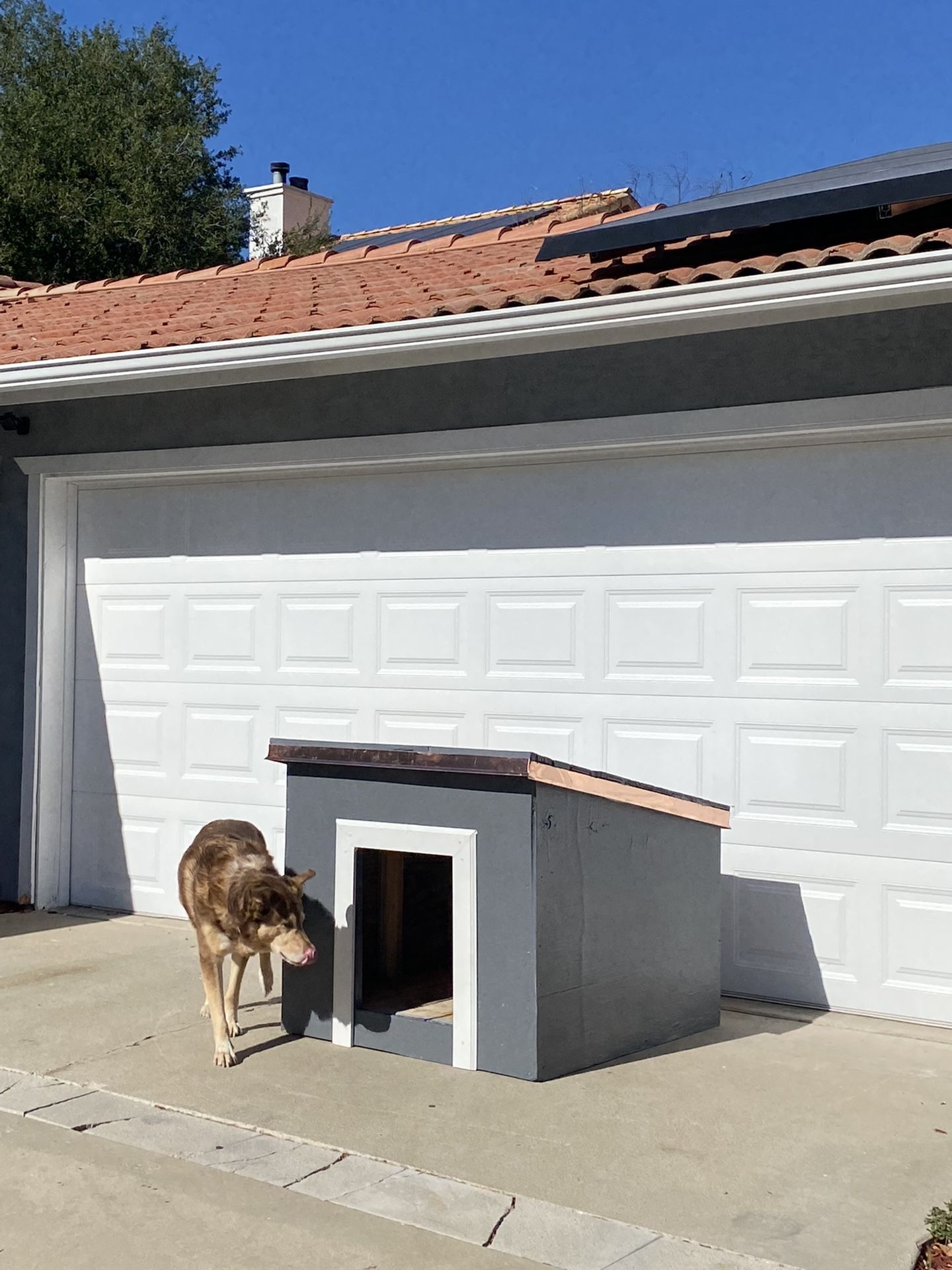 Large Weatherproof Doghouse