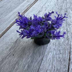 Purple And Green Plant/plants Decoration For Aquarium/Fish Tank