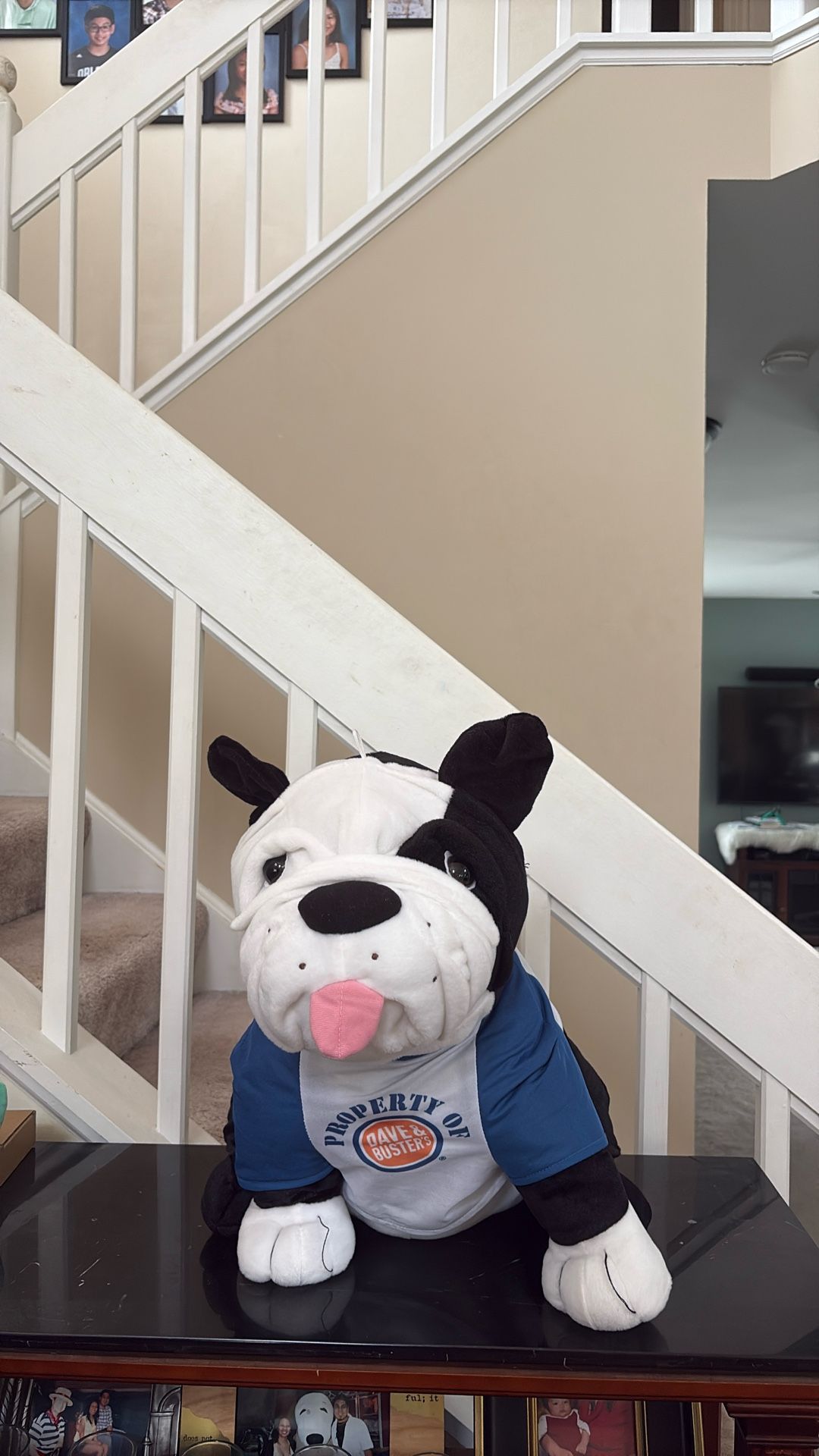 Stuffed Animal(Dave & Busters Dog)