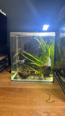 Nano Fish Tank with Light