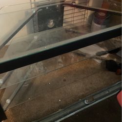 Free Glass Table 