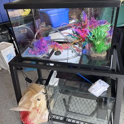 Fish Tanks and Stand