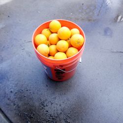 Orange Bucket 