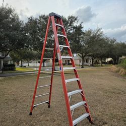 Werner 10-foot ladder