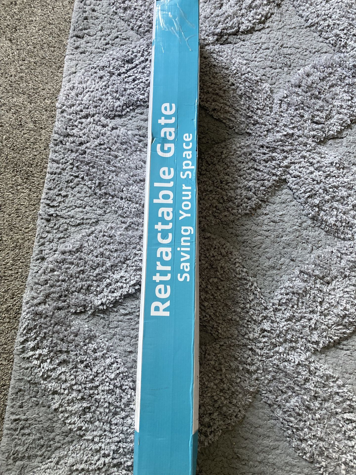 Retractable Gate