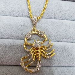 Scorpion Pendant With Cubic Zirconia...chain 22 Inches Stainless. 