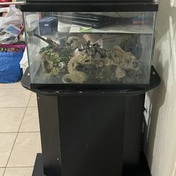 Fish Tank And Stand With Decoration Cheap