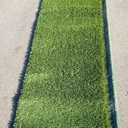Artificial Grass 