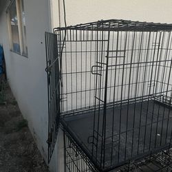 Kennel