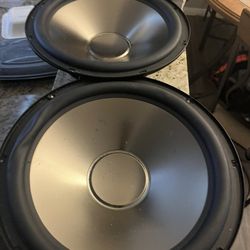 12in  Replacement Speakers  