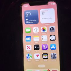 IPhone X Unlocked 