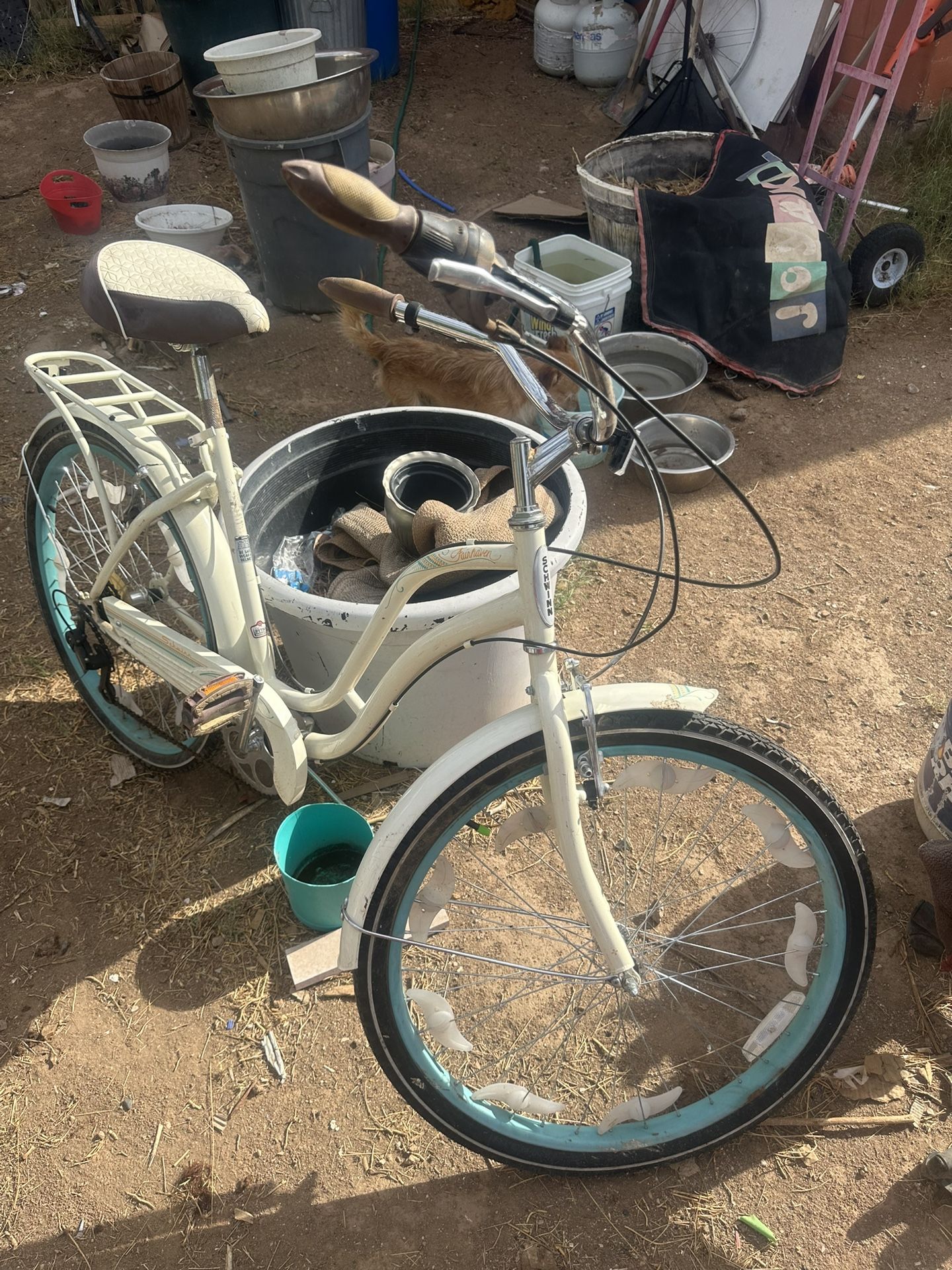 Beach Cruiser Schwinn