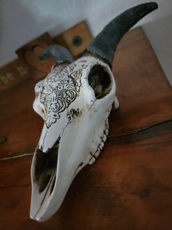 Decorative Skull