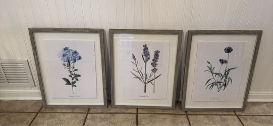 Botanical Art Prints