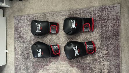 16 oz EVERLAST BOXING GLOVES (2 pairs)