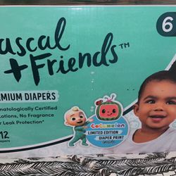 rascals and friends diaper size 6