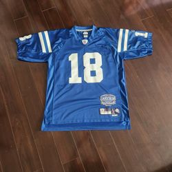 25% OFF!! Limited Edition 1158/2401 REEBOK PEYTON MANNING INDIANAPOLIS COLTS JERSEY