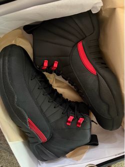 Air Jordan retro 12s