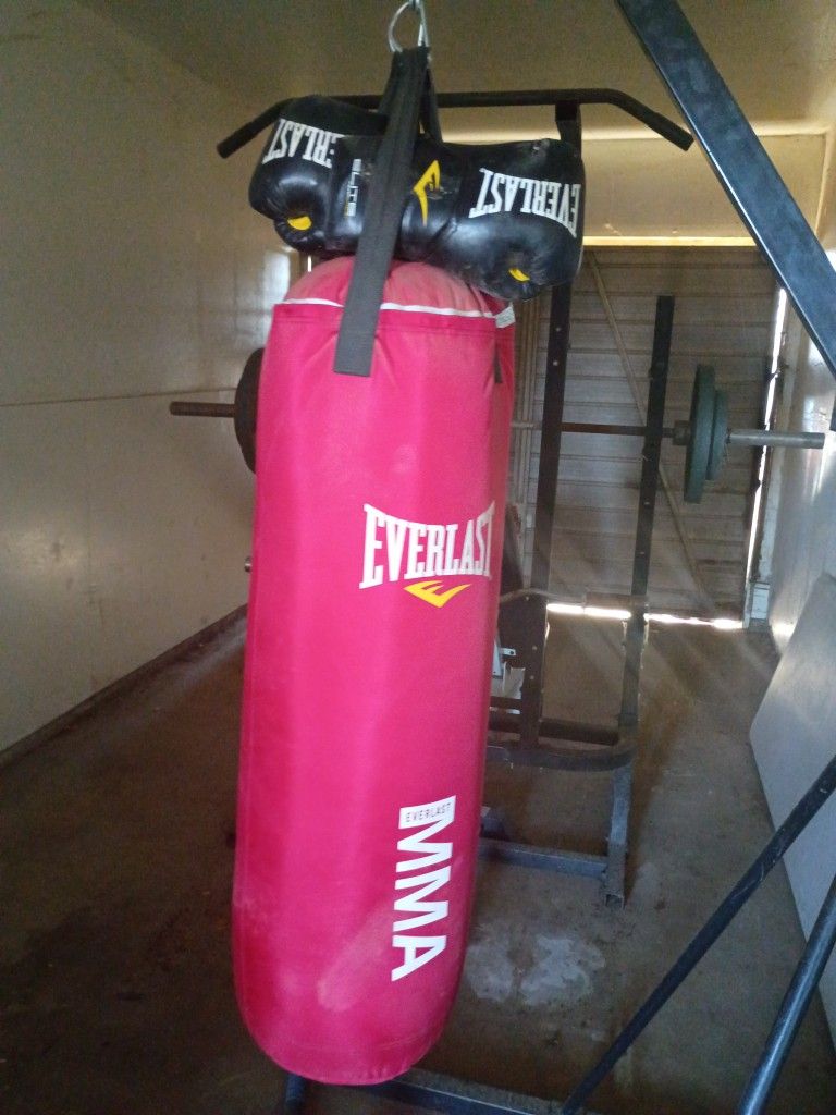 Punching Bag With Stand & Gloves
