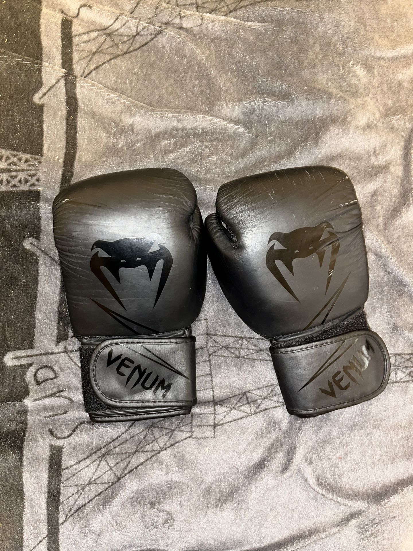 Venom Boxing Gloves