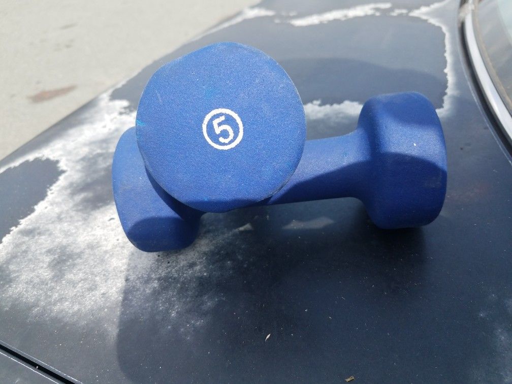 Weights; pair of 5 lb dumbbells - $17
