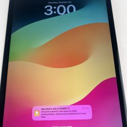 IPad Pro 11 Inch 256 GB WiFi+ Cellular Unlocked Good Condition 