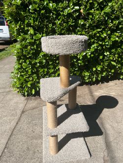 Cat Post
