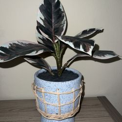 Blue Faux Plant 