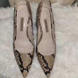 Zara Basic Pumps 