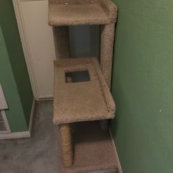 Cat Post