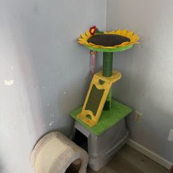 Cat house