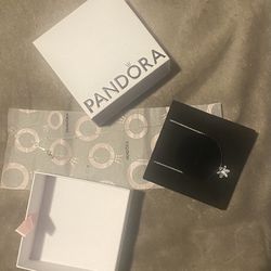 Brand New Pandora Necklace