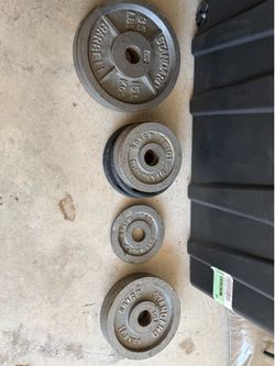 Gym plate weights