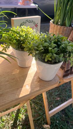 Fake plants