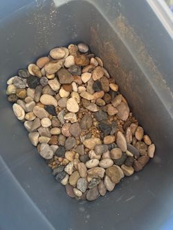 Mixed River Pebbles Decorative Rocks