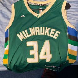 Swingman Giannis Jersey Small