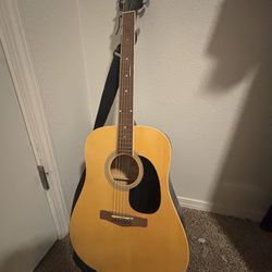 Rogue acoustic guitar