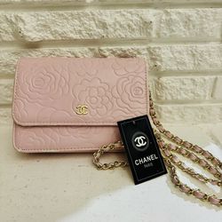 Wallet on Chain - Pink Crossbody BagHandbag with tag brand new