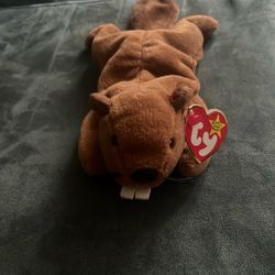 TY the beaver, clean collectible not a toy
