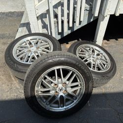 LS Webs 
