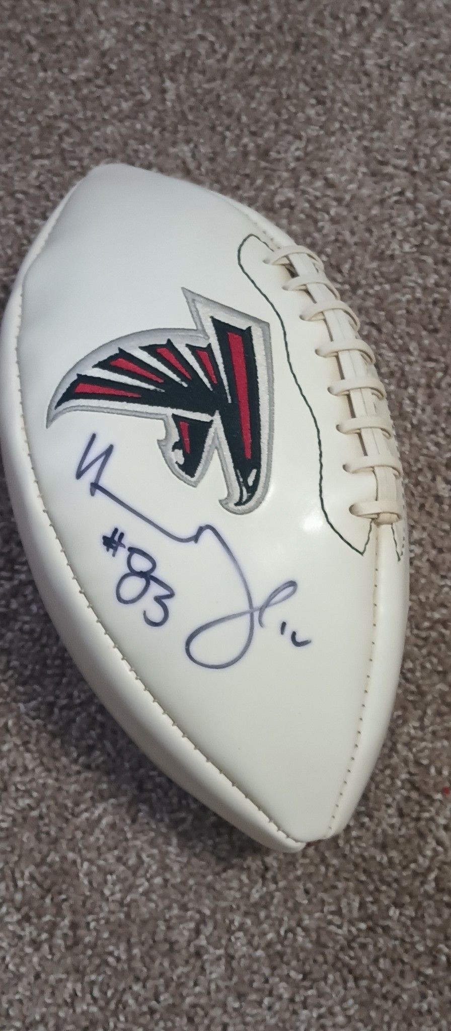 Falcons Signatures