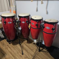 Bongos/congas