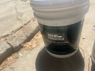Ultra pure white paint