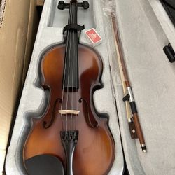 Solid Wood Violins 