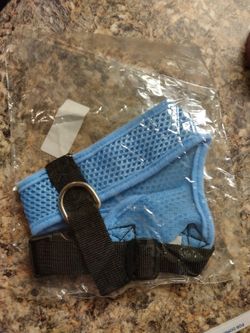 Small Dog Harness. Blue