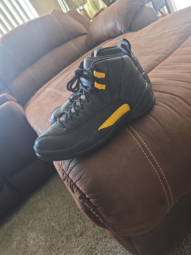 Jordan Retro 12s