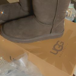 Uggs Boots Dark Brown 