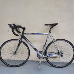 Trek 1000 Road Bike 